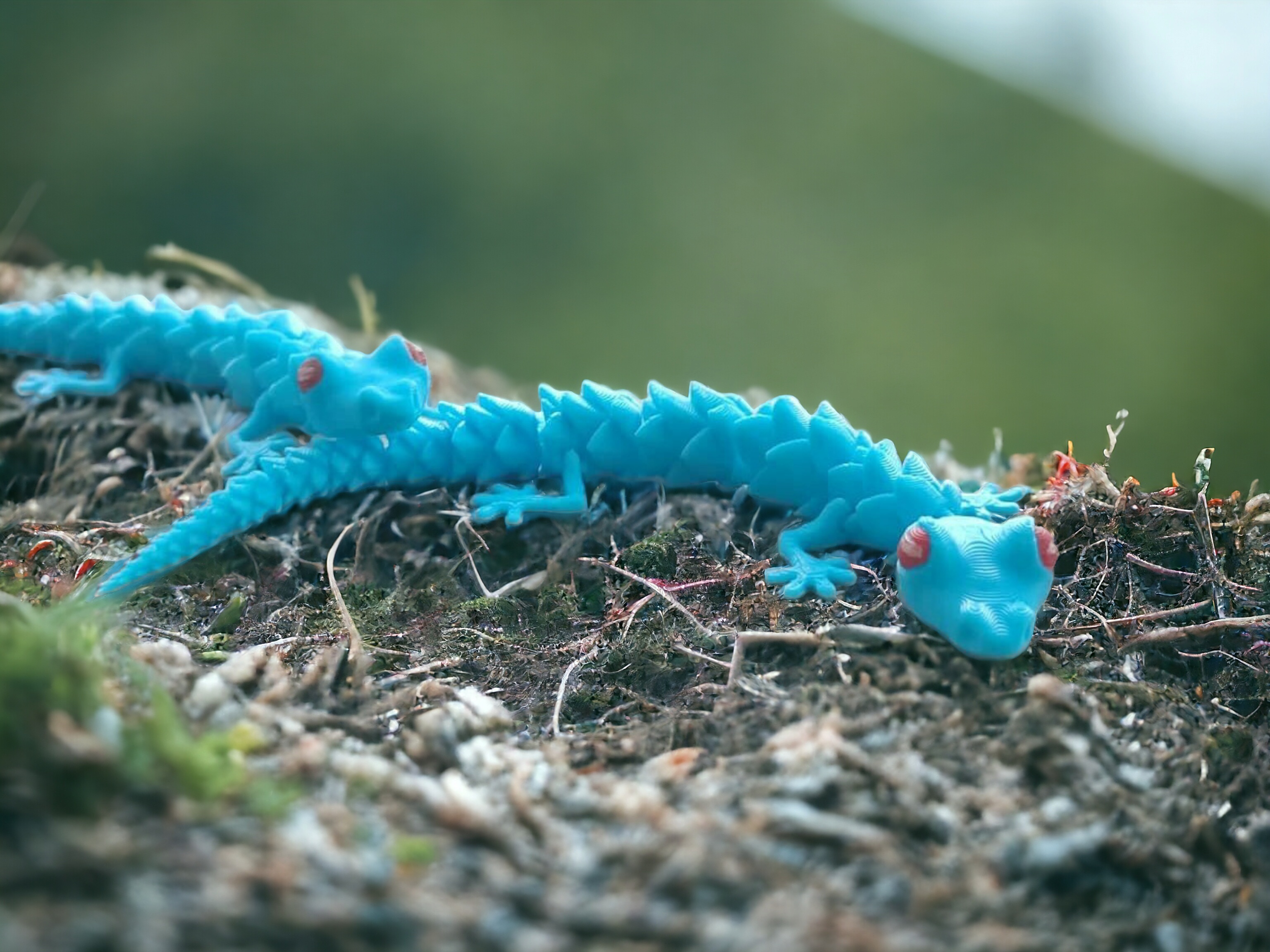 ARTICULATED FLOWER LIZARD